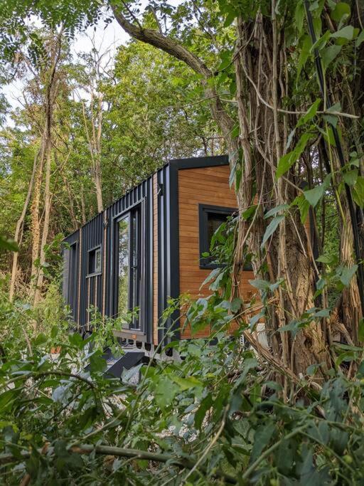 Jungle Wagon - Ecovillage Hainburg Hainburg an der Donau Exteriör bild